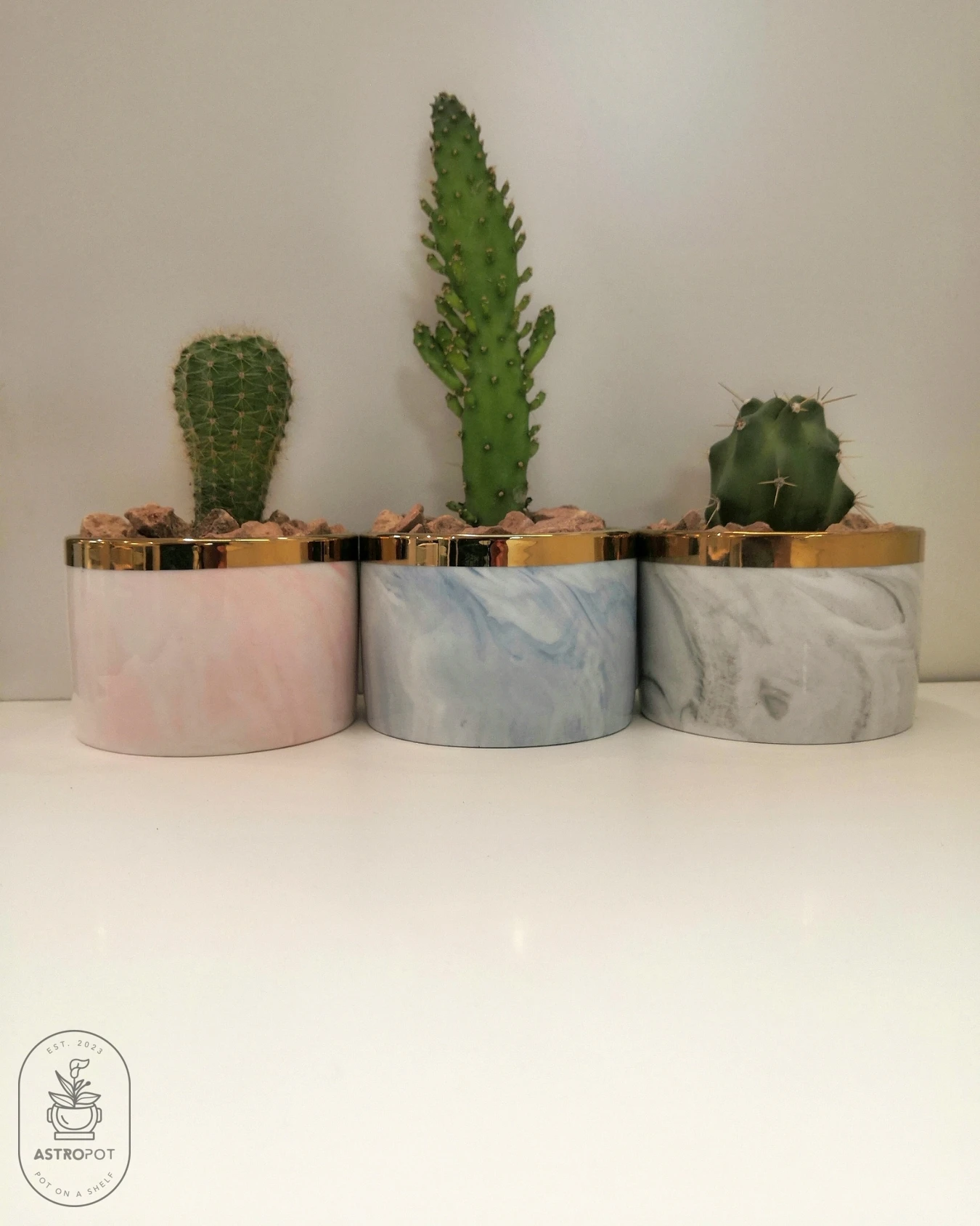 Cactus - Succulent - Set of 3 Ceramic