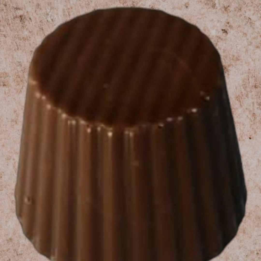 Peanut Butter Chocolate BonBons - 15 grams