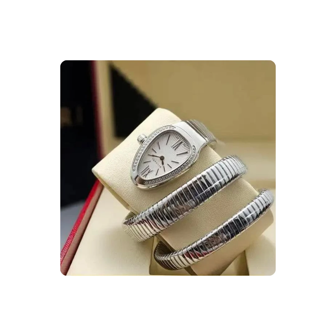 Di Capri Women’s Watch with Silver Coil Bracelet – Stylish Design for Everyday E